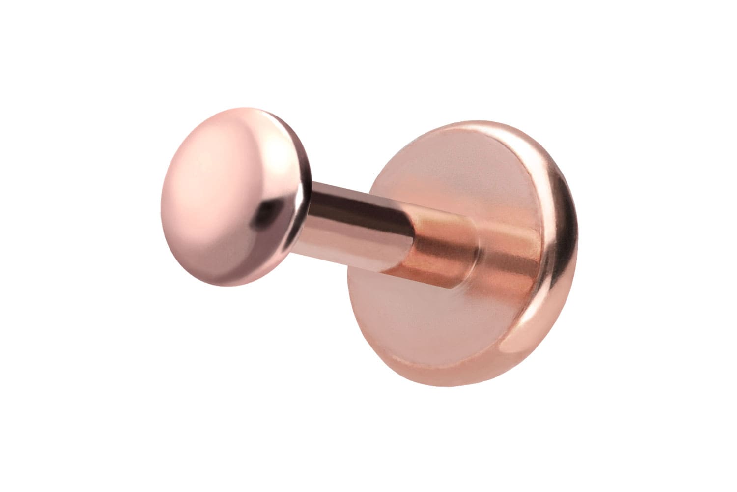 Titan Labret Piercing mit Push Fit DISC